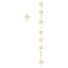 ǰ̹